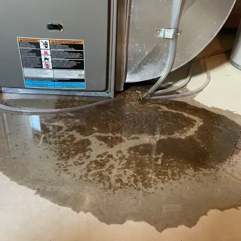 Appliance Leak Cleanup in La Salle, IL